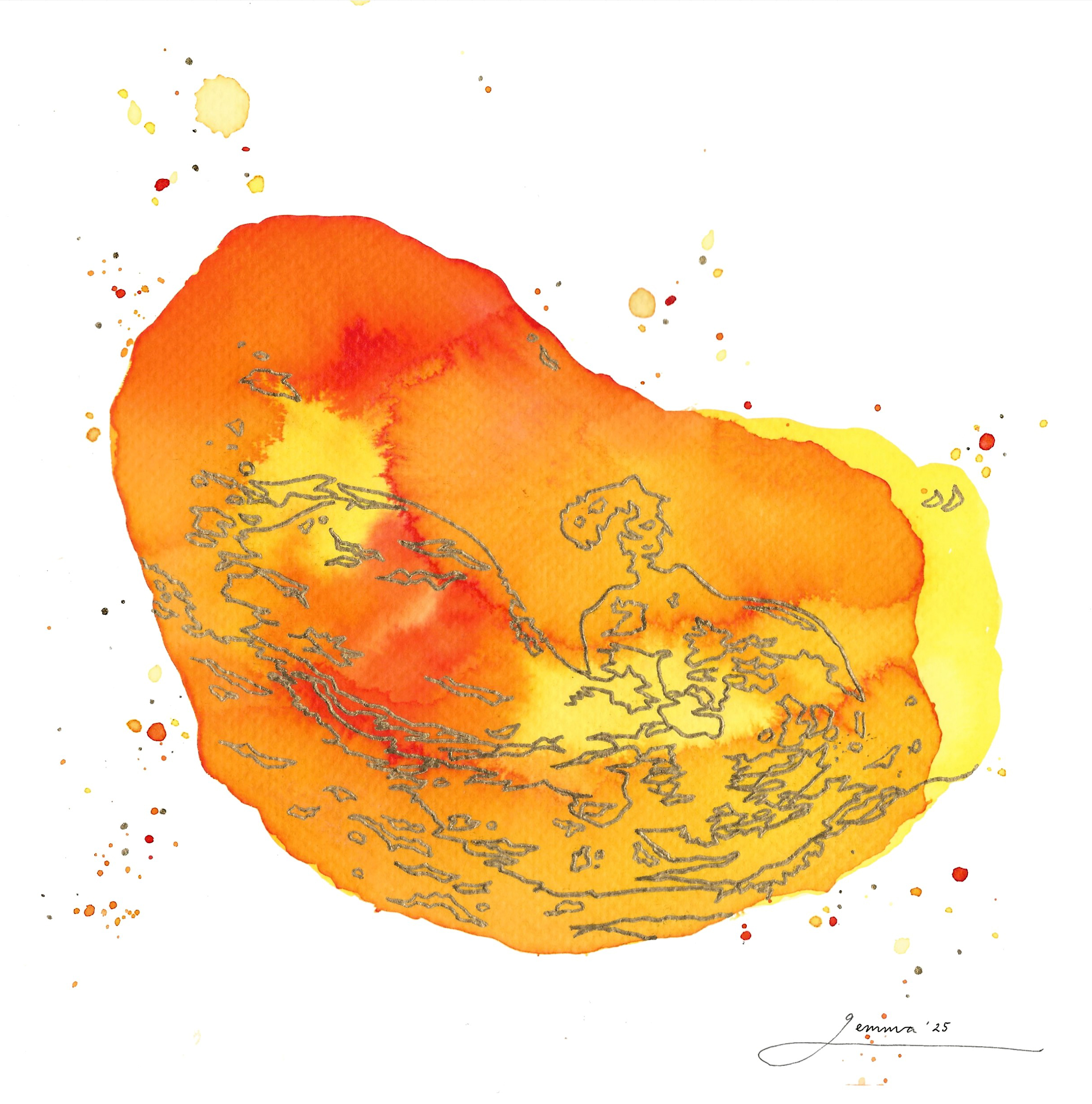 Portfolio Image